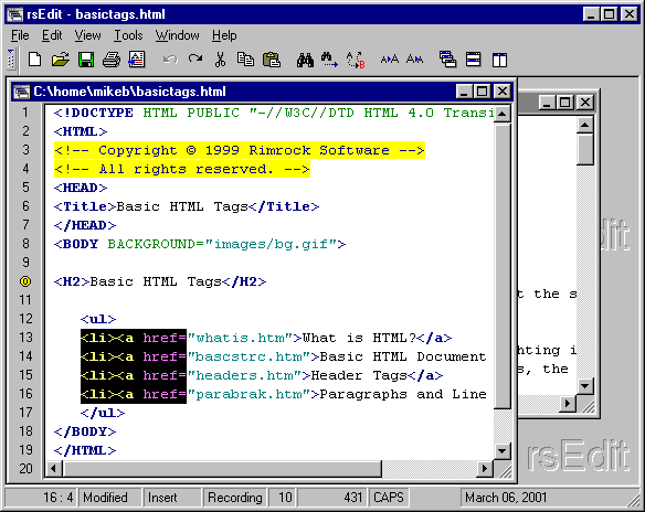 RsEdit Screenshot